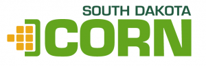 SD Corn
