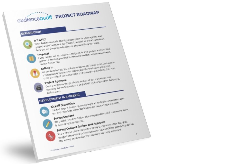 Audience Audit Project Roadmap